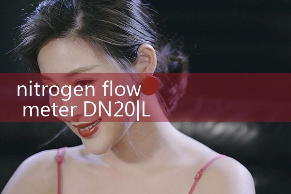 nitrogen flow meter DN20|flow meter distributor