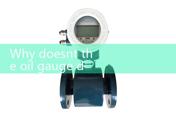 Stainless steel elliptical gear flowmeter