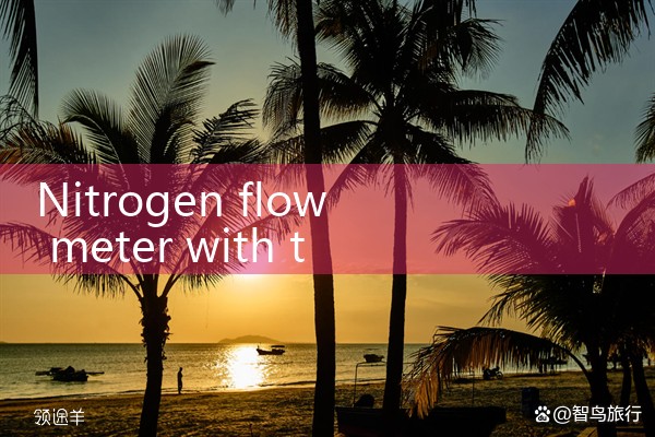 nitrogen flow meter with temperature compensation|flow meter distributor