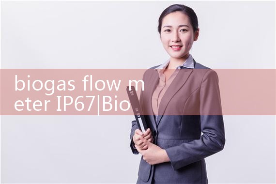 biogas flow meter IP67|flow meter distributor