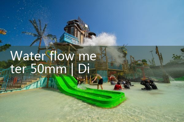 water flow meter 50mm|rotameter flow meter