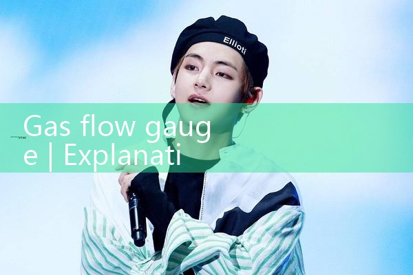 gas flow gauge|rotameter flow meter