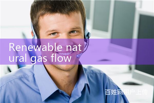 renewable natural gas flow meter|flow meter distributor