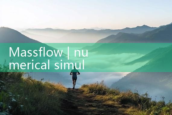 massflow|gas flow meter
