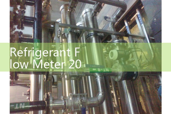 Weifang Thermal Mass Flow Meter Manufacturer