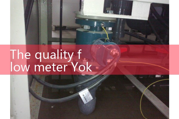 Quality flowmeter Yokogawa