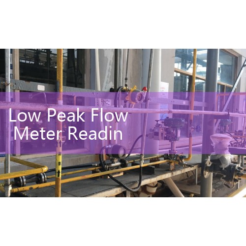 Low Peak Flow Meter Readings: Clinical Guide to Interventive Steps inside Red and Yellow Asthma Action Zones