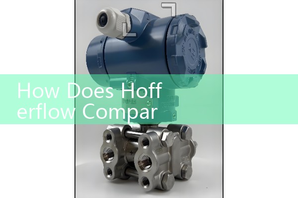 How Does Hofferflow Compare to Other Flow Meter Suppliers: Brand Comparison Analysis