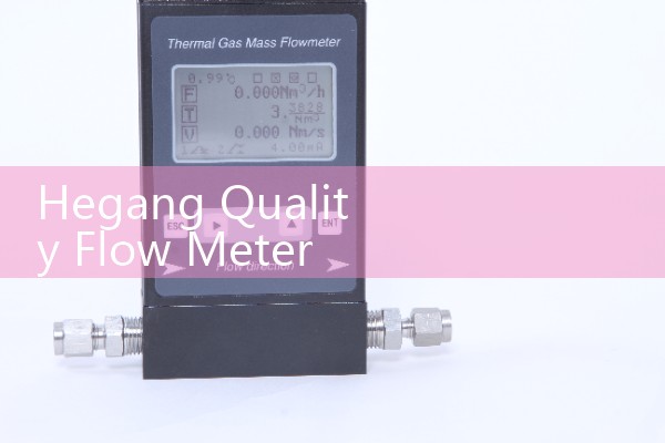 Hegang Quality Flow Meter Manufacturer