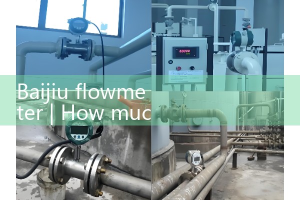 Baijiu flowmeter