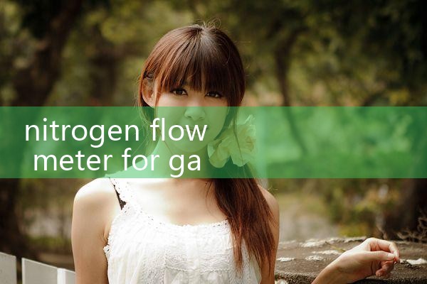 nitrogen flow meter for gas chromatography|flow meter distributor