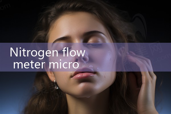nitrogen flow meter micro flow|flow meter distributor