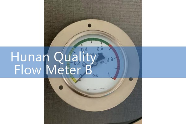 Hunan Quality Flow Meter Brand