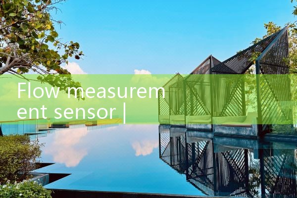 flow measurement sensor|rotameter flow meter