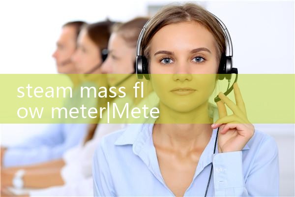 steam mass flow meter|mass flow meter