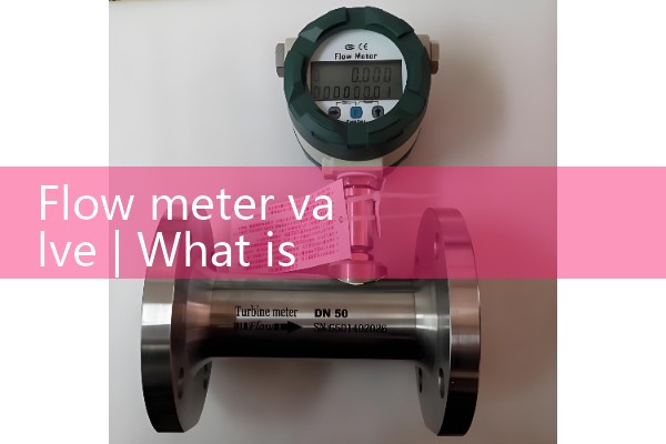 Flow meter valve