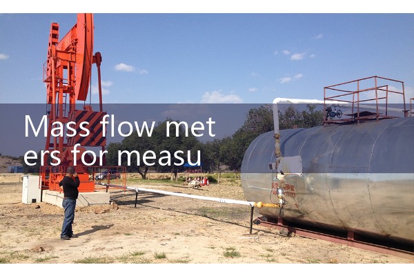 Mass flow meter for measuring gas