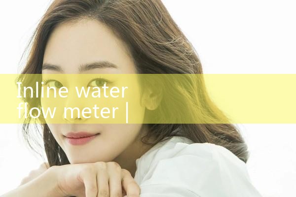 inline water flow meter|rotameter flow meter