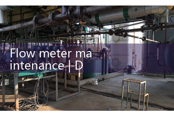 Flow meter maintenance