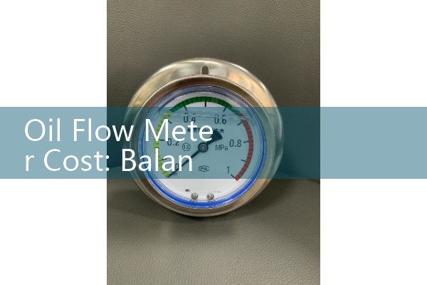 Oil Flow Meter Cost: Balancing Upfront Capital Expense with Lifespan Maintenance