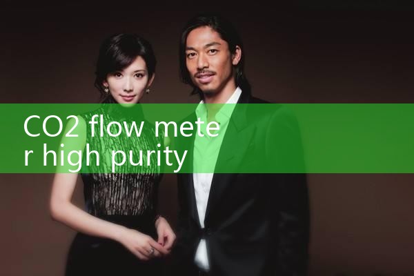 CO2 flow meter high purity|thermal flow meter