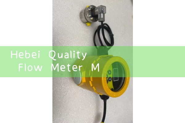 Hebei quality flowmeter manufacturer quotation