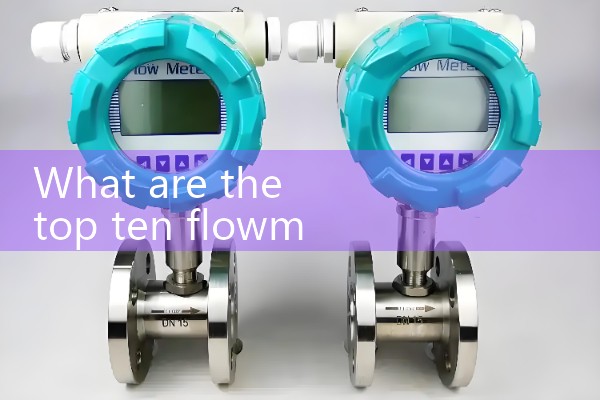 DN65 vortex flowmeter