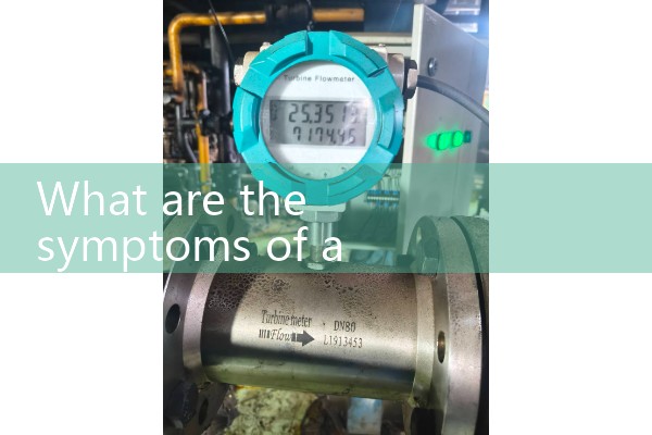 Airflow meter