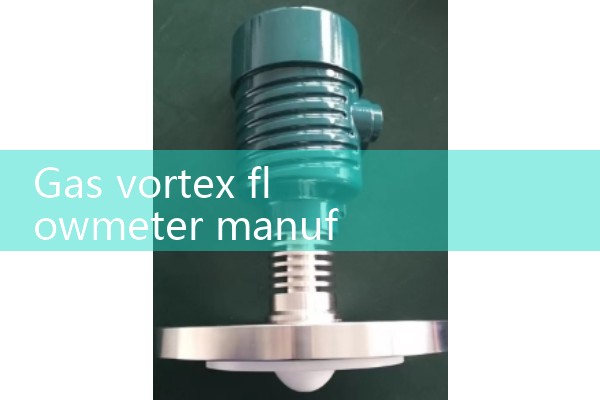 Gas vortex flowmeter manufacturer