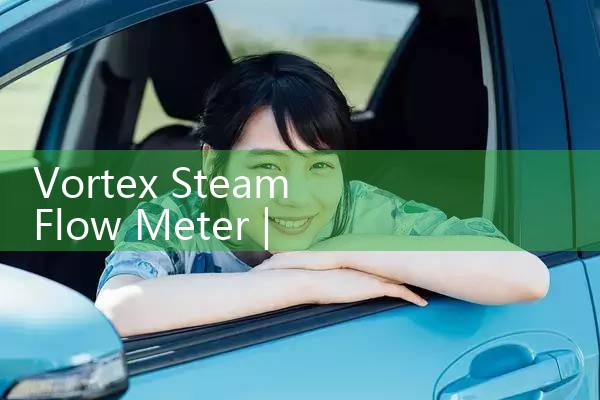 vortex steam flow meter|gas flow meter