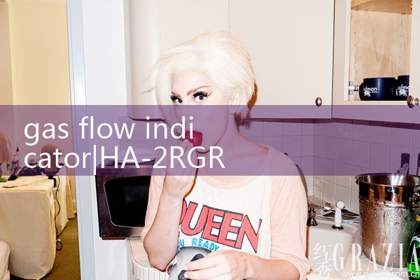 gas flow indicator|mass flow meter