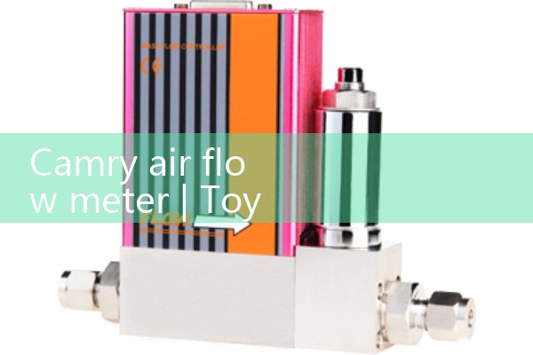 Camry air flow meter