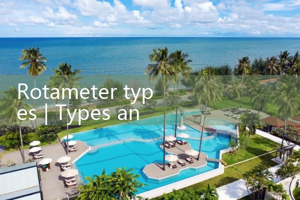 rotameter types|rotameter flow meter
