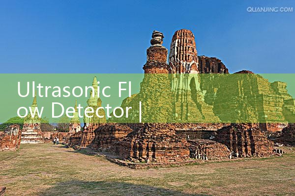 ultrasonic flow detector|mass flow meter