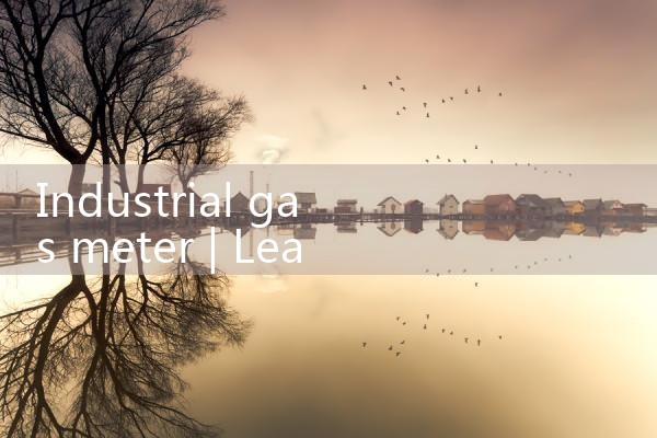 industrial gas meter|thermal flow meter