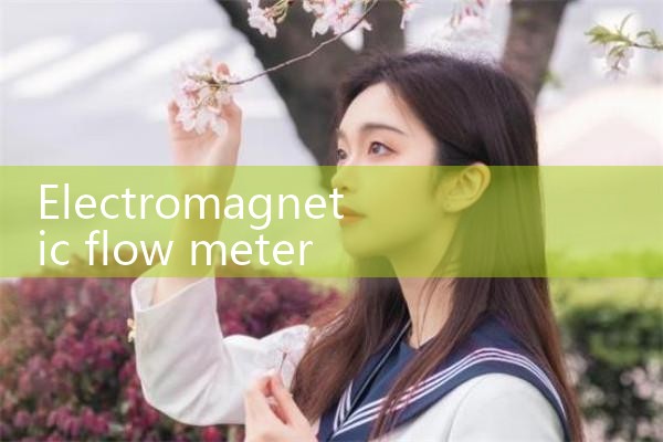 electromagnetic flow meter for sewage|gas flow meter
