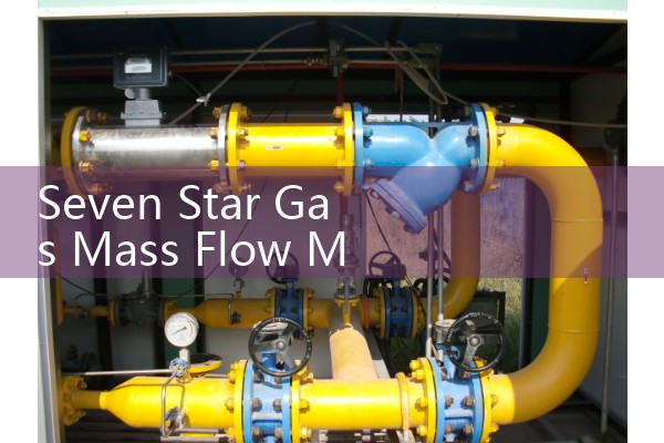 Seven star gas mass flowmeter