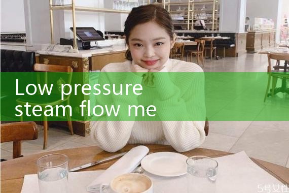 low pressure steam flow meter|balo meter