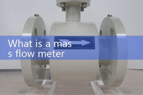 Image of mass flow meter