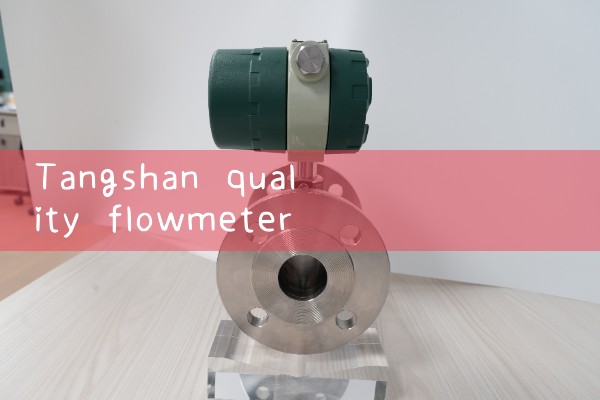 Tangshan Quality Flow Meter Manufacturer