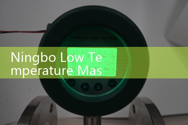 Ningbo Low Temperature Mass Flow Meter Manufacturer