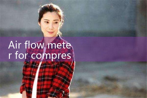 air flow meter for compressed air|balo meter