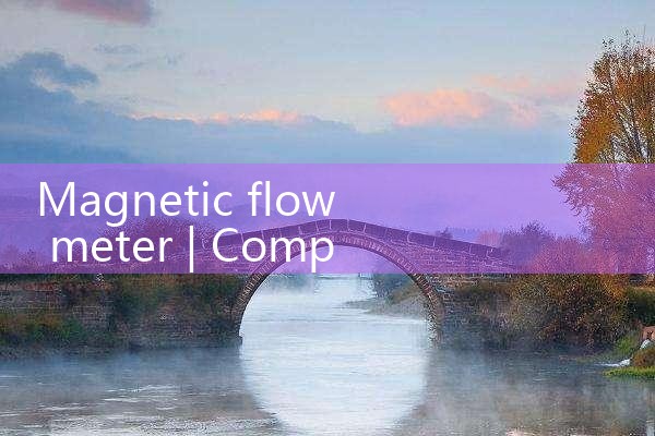 magnetic flow meter|rotameter flow meter