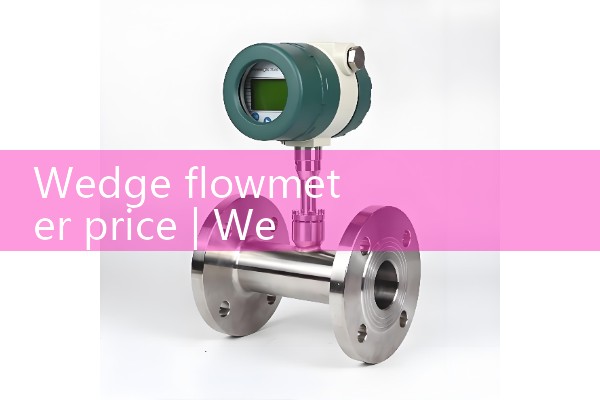 Wedge flowmeter price