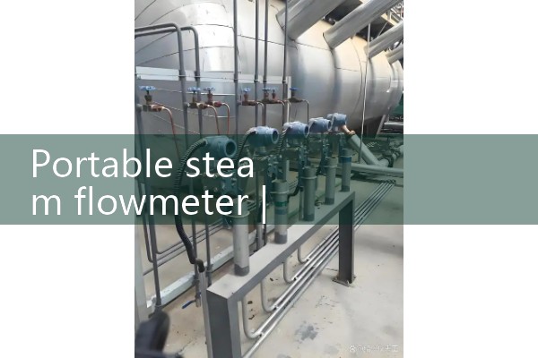 Portable steam flowmeter