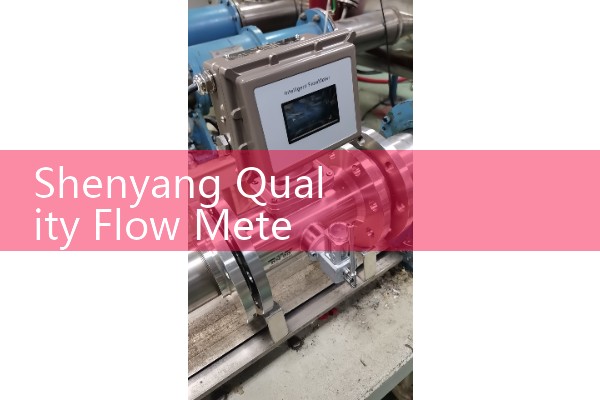 Wholesale of Shenyang Quality Flow Meter