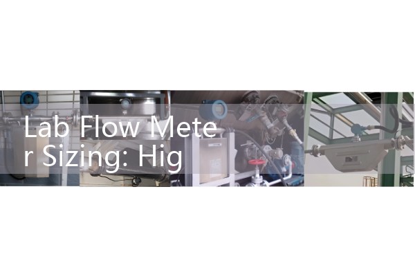 Lab Flow Meter Sizing: High-Precision Low-Flow Instruments for Chemical Micro-Injection