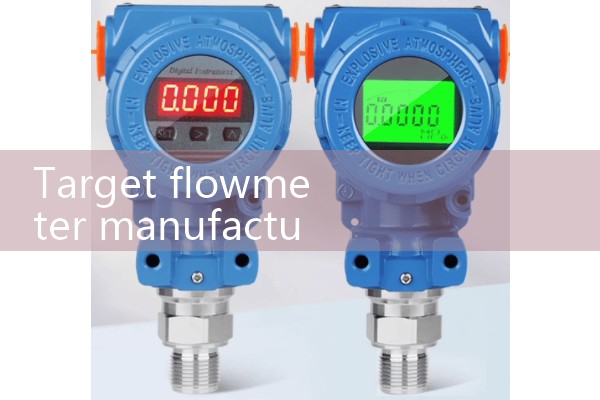 Target flowmeter manufacturer
