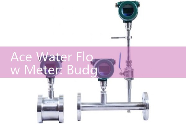 Ace Water Flow Meter: Budget landscape irrigation totalizers.