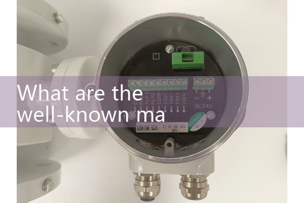 Shanghai quality flowmeter manufacturer supplies